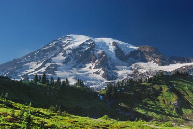 Mount Rainier Ulusal Parkı, Washington, ABD