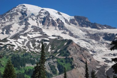 Mount Rainier Ulusal Parkı, Washington, ABD