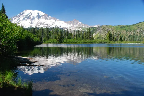 Mount Rainier National Park Washington Verenigde Staten — Stockfoto