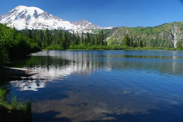 Mount Rainier National Park Washington Eua — Fotografia de Stock