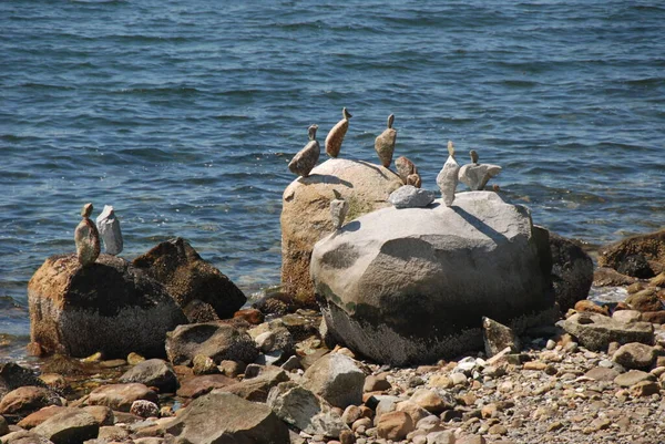 Vancouver sahilinde dengeli kayalar