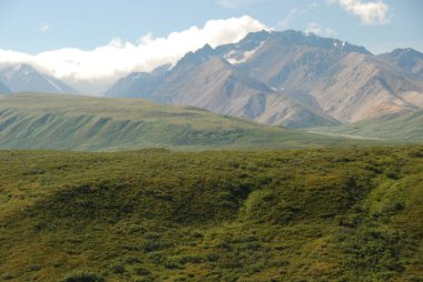 Denali Ulusal Parkı, Alaska, ABD