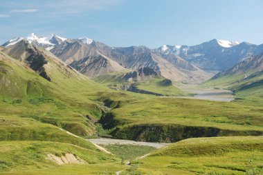 Denali Ulusal Parkı, Alaska, ABD