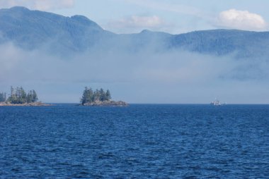 Ketchikan yakınlarındaki fiyortlar, Alaska, ABD