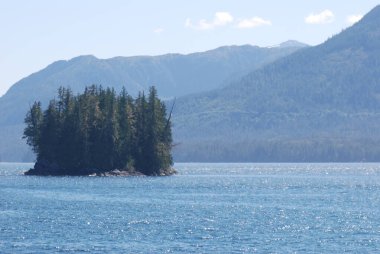 Ketchikan yakınlarındaki fiyortlar, Alaska, ABD