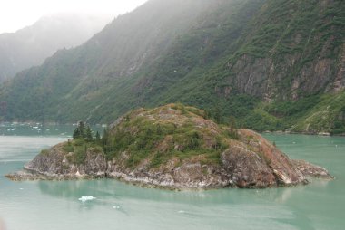 Tracy Arm 'daki ada Alaska' daki Sawyer Buzulu 'nun yanında.