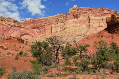 Utah 'taki Capitol Resifi Ulusal Parkı' nın renkli kayalıkları