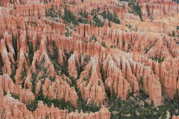 Bryce Canyon Ulusal Parkı 'nda kaya oluşumları