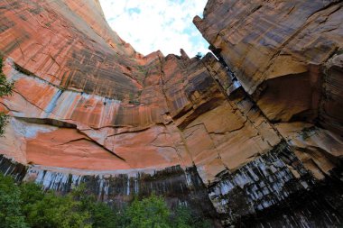 Utah, Zion Ulusal Parkı 'ndaki Zümrüt Gölet Yolu