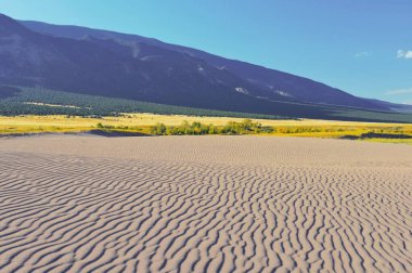 Colorado 'daki Great Sand Dunes Ulusal Parkı.