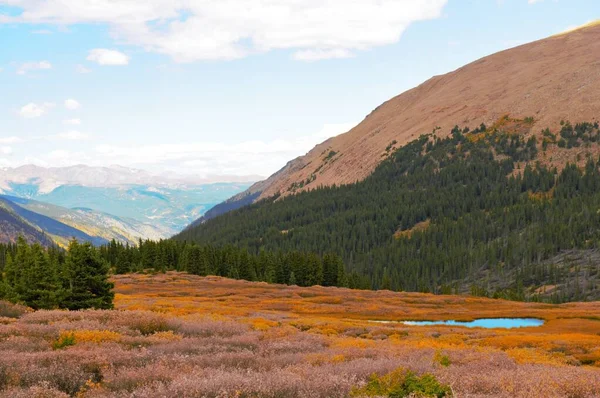 Sonbaharda Denver Colorado yakınlarındaki Guanella Geçidi.