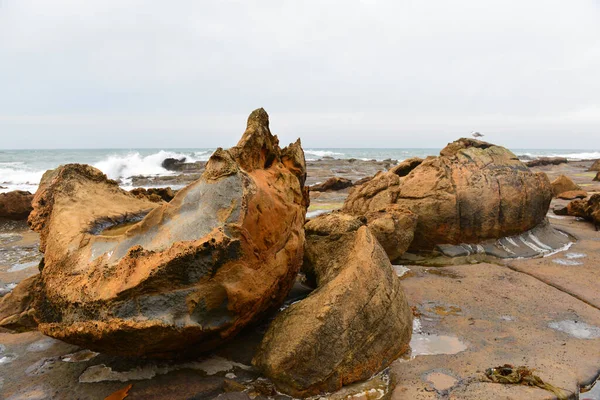 Yeni Zelanda 'da Shag Point plajında kaya oluşumları