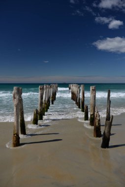 Dunedin 'deki St. Clair plajındaki eski direkler.