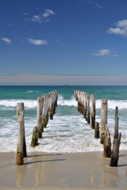 Dunedin 'deki St. Clair plajındaki eski direkler.