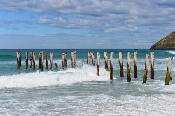 Dunedin 'deki St. Clair plajındaki eski direkler.