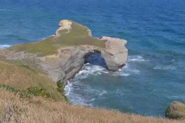 Yeni Zelanda yakınlarındaki tenha tünel plajı.