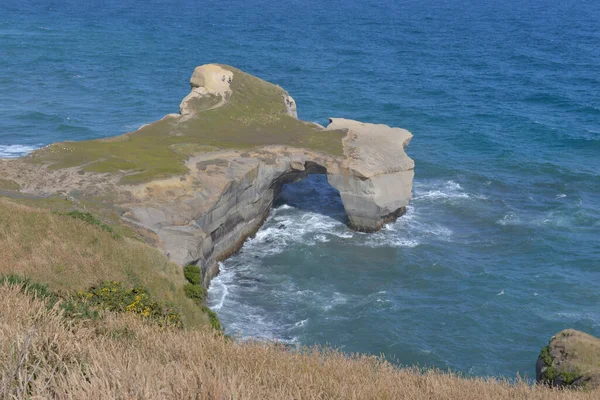 Yeni Zelanda yakınlarındaki tenha tünel plajı.