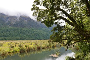 Milford Sound yolunun yanındaki Ayna Gölleri