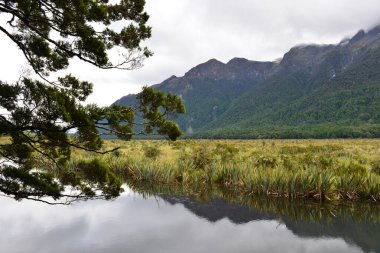 Milford Sound yolunun yanındaki Ayna Gölleri