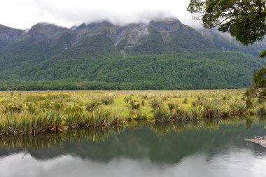 Milford Sound yolunun yanındaki Ayna Gölleri