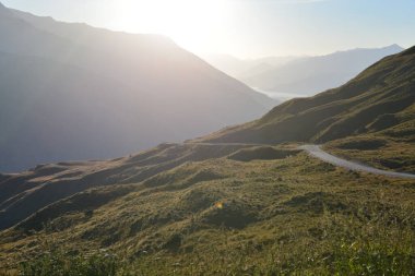 Queenstown yakınlarında ok kavşağı gözcüsü