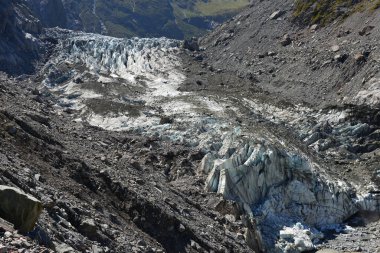 Güney Adası 'ndaki Fox Buzulu Yeni Zelanda