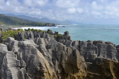 Paparoa Ulusal Parkı 'nda Krep Kayaları