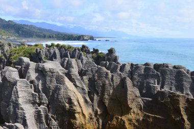 Paparoa Ulusal Parkı 'nda Krep Kayaları