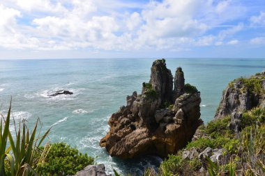 Paparoa Ulusal Parkı 'nda Krep Kayaları