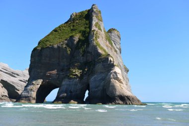 Güney Adası 'nın kuzeyindeki Whariki Sahili Yeni Zelanda
