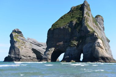 Güney Adası 'nın kuzeyindeki Whariki Sahili Yeni Zelanda