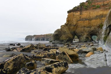 Kuzey Adası Yeni Zelanda 'daki Tongaporutu Sahili