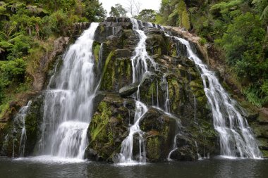 Owharoa Şelalesi, Waikino, Kuzey Adası, Yeni Zelanda