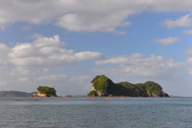 Coromandel Yarımadası 'ndaki Katedral Koyu Sahili