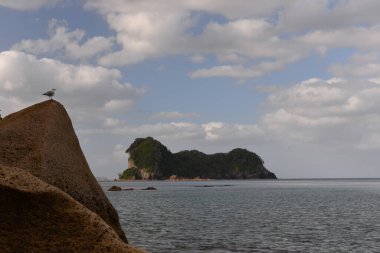 Coromandel Yarımadası 'ndaki Katedral Koyu Sahili