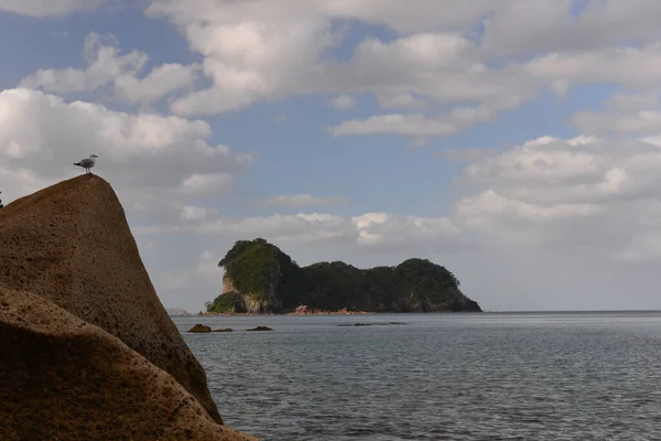 Coromandel Yarımadası 'ndaki Katedral Koyu Sahili