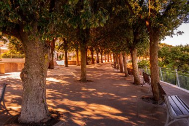 Altın saat güneş ışığı, Conero Terrace, Sirolo, İtalya 'daki gölgeli ağaçların arasından parlıyor.