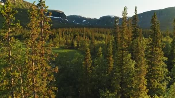 Vista aérea en la orilla de Seidozero-un lago sagrado en la península de Kola. Región de Murmansk, Rusia. Vuelo con drones. Videoclip