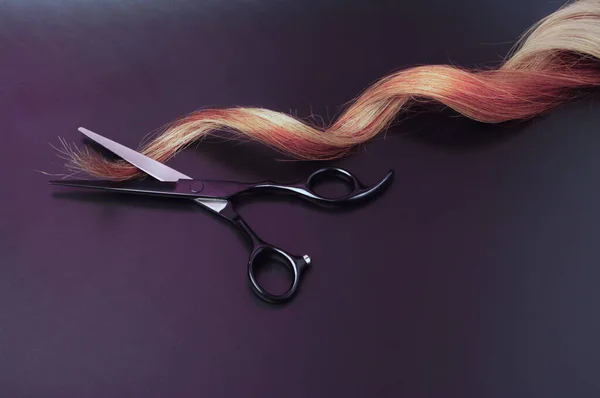 Scissors Strand Blond Curl Hair Dark Background Professional Hairdressing Shears — 스톡 사진