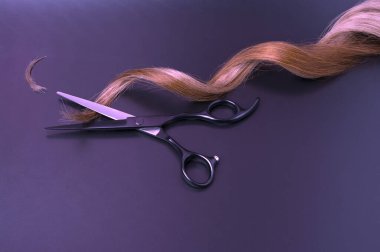 Open Hairdressing Scissors With a Strand Curl Hair On A Dark Background, Professional Shears And Cutted Hair Edges clipart