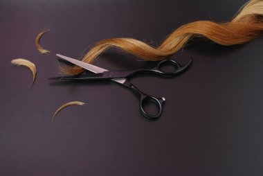 Open Hairdressing Scissors With a Strand Curl Hair On A Black Background, Professional Shears And Cutted Hair Edges clipart