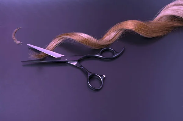 Open Hairdressing Scissors Strand Curl Hair Dark Background Professional Shears — Stock Photo, Image