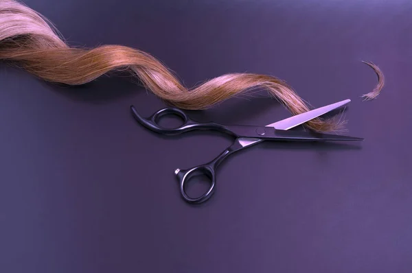 Open Black Professional Shears Strand Curly Hair Dark Background Hairdressing — Stock Photo, Image