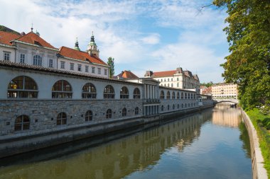 Ljubljana şehir ve nehir Ljubljanica