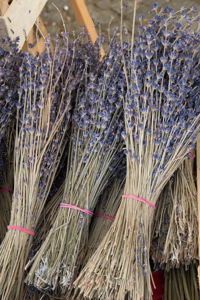 Kurumuş lavanta demetleri