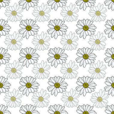 Vektör beyaz arka plan papatya çiçekleri ve kır çiçekleri. Kusursuz desen arkaplanı