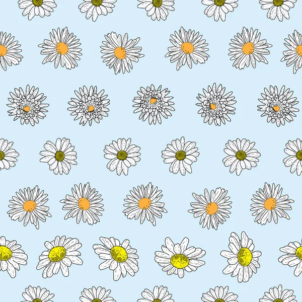 Vector pastel fundo azul flores margarida e flores silvestres. Padrão sem costura fundo —  Vetores de Stock