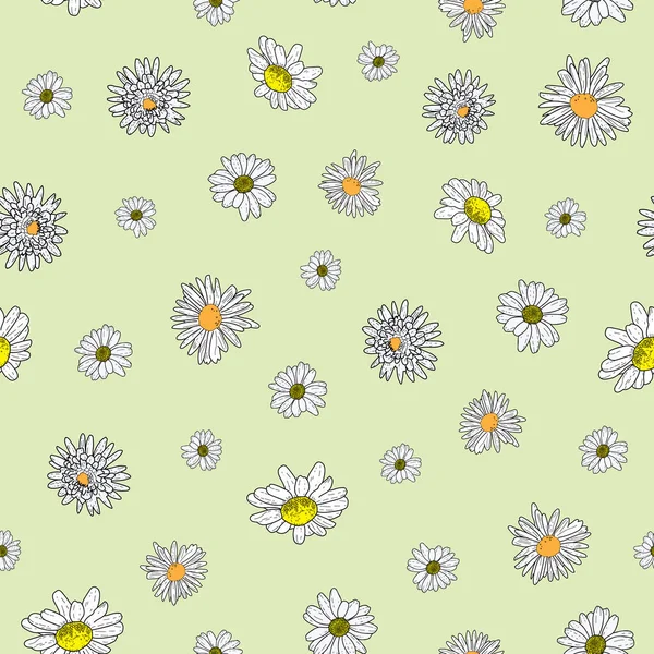 Vector verde pastel fondo flores de margarita y flores silvestres. Fondo de patrón sin costura — Archivo Imágenes Vectoriales