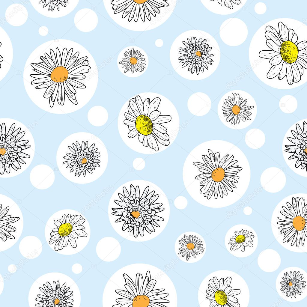 Vector pastel blue background daisy flowers and wild flowers. Seamless pattern background