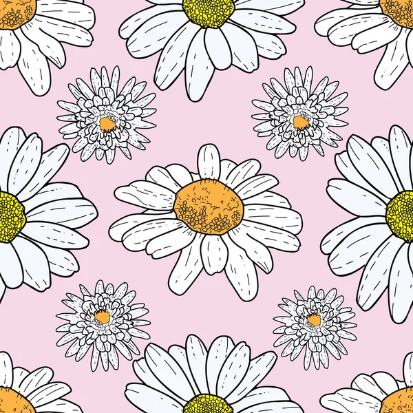 Fond vectoriel rose fleurs marguerites et fleurs sauvages. Fond de motif sans couture — Image vectorielle